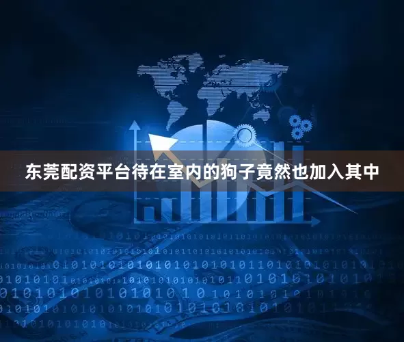 东莞配资平台待在室内的狗子竟然也加入其中