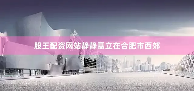 股王配资网站静静矗立在合肥市西郊
