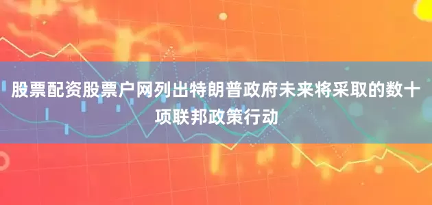 股票配资股票户网列出特朗普政府未来将采取的数十项联邦政策行动