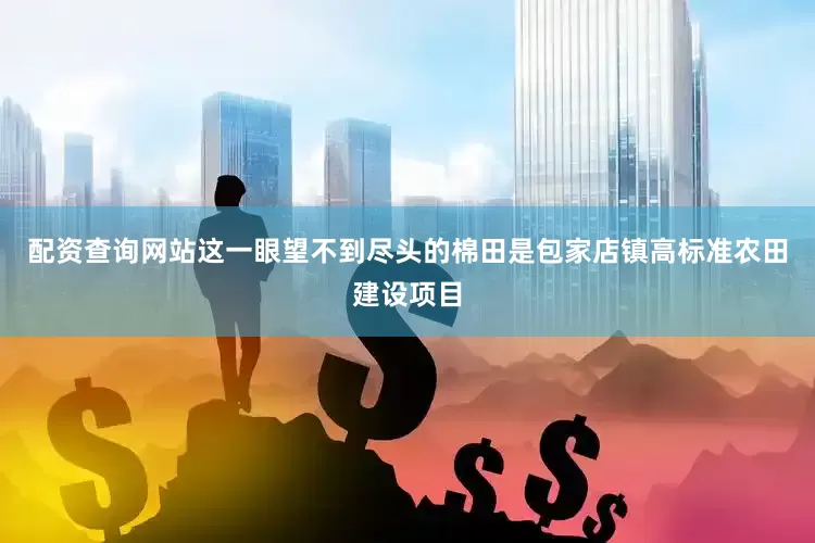 配资查询网站这一眼望不到尽头的棉田是包家店镇高标准农田建设项目