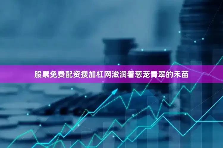 股票免费配资搜加杠网滋润着葱茏青翠的禾苗